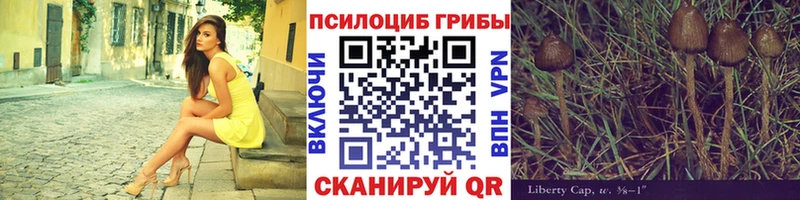 цены наркотик  Боровичи  Галлюциногенные грибы прущие грибы 