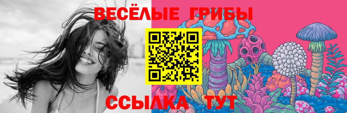 Псилоцибиновые грибы Psilocybe Боровичи