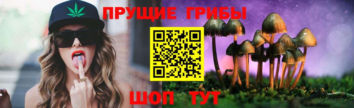Псилоцибиновые грибы Psilocybe  Вход с VPN  где купить наркоту  Боровичи 